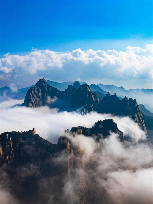 图片 4.jpg