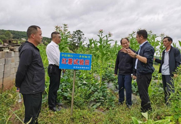 1 - 2023-10-11T174858.302.jpg