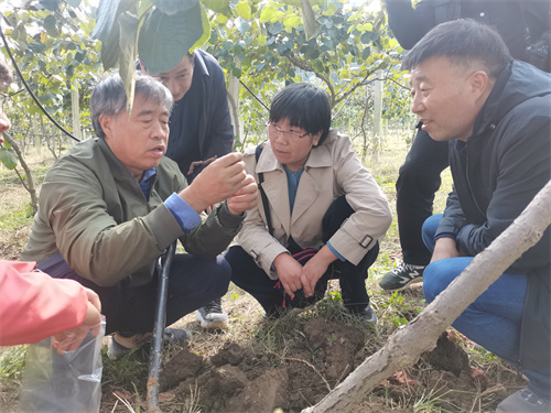 商南大雷火电竞力推广农作物病虫害绿色防控技术(图1)