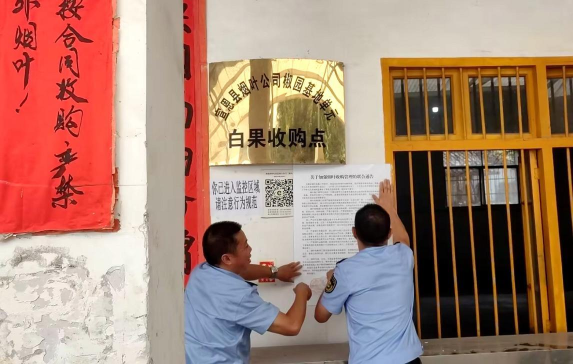 图片 1.png