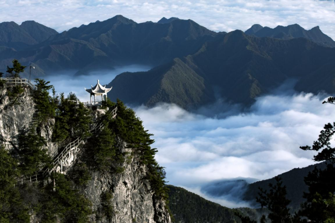 山阳县擦亮生态文明建设名片