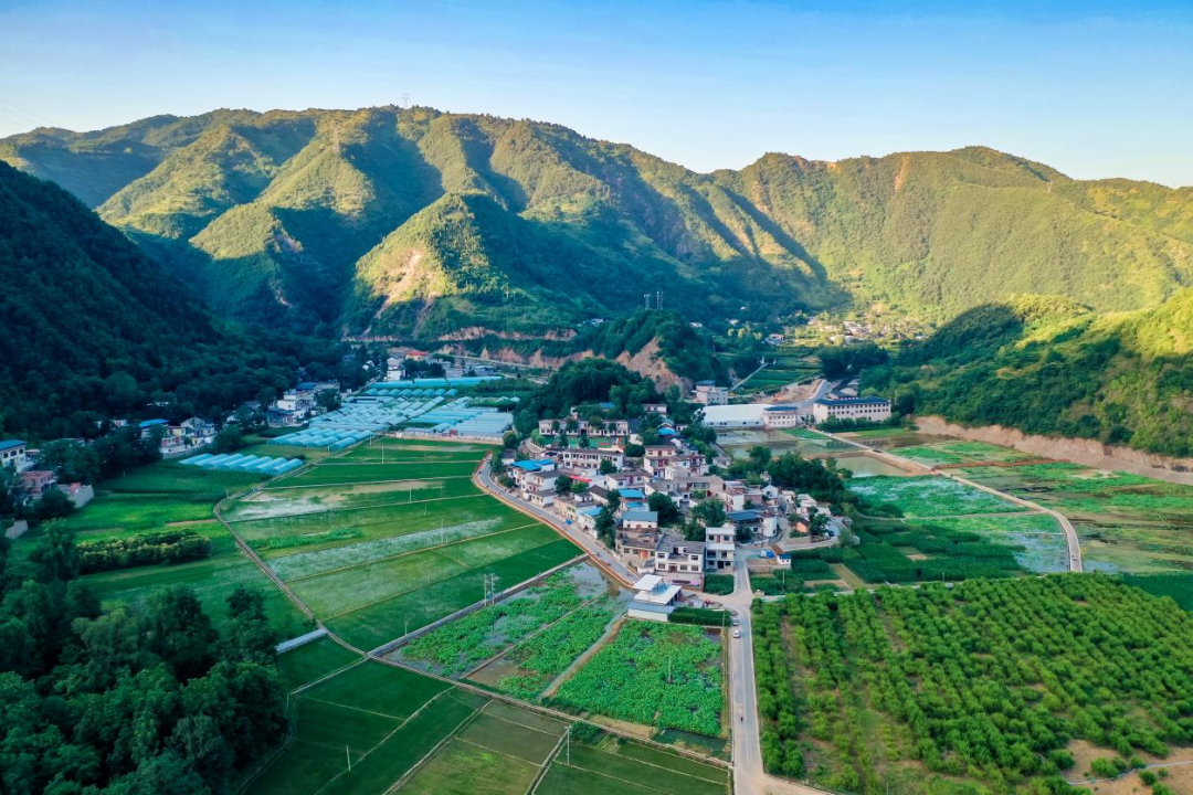 山阳县擦亮生态文明建设名片