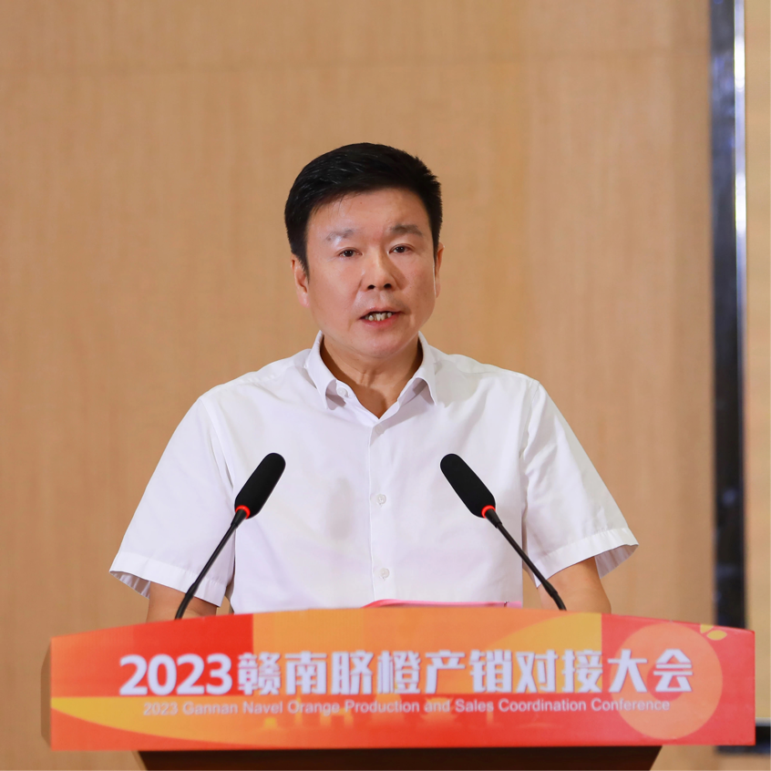 图片 3.png