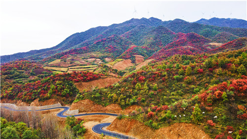 宜阳花果山乡心系乡村道路建设彰显代表责任担当