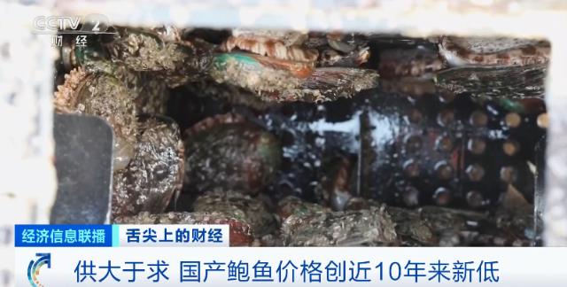 1701309630956088.jpg 4.jpg