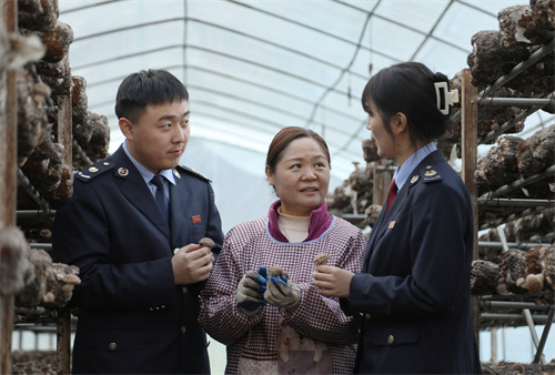图片 1.jpg
