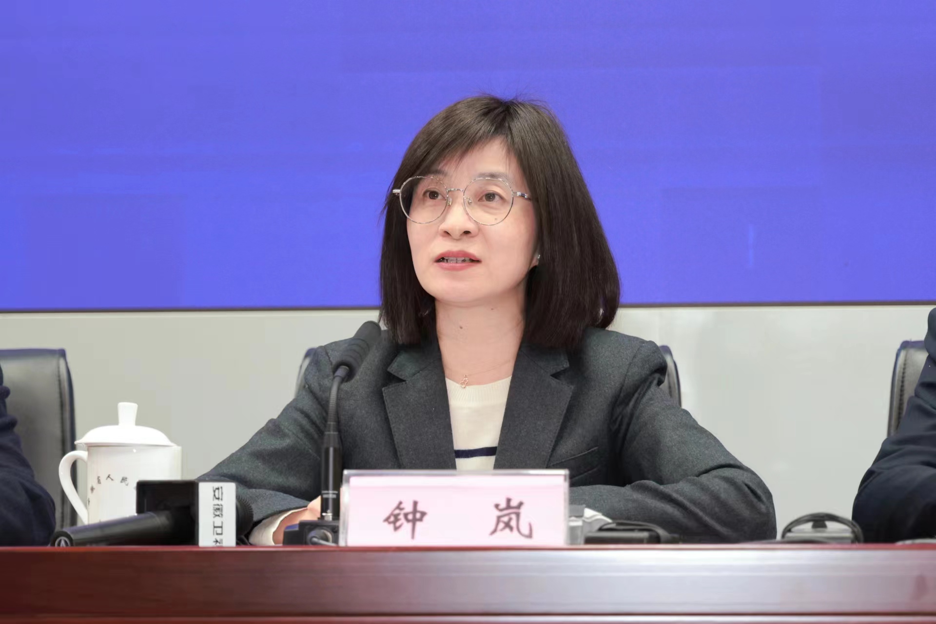 安徽省发展改革委副主任钟岚发布新闻.jpg