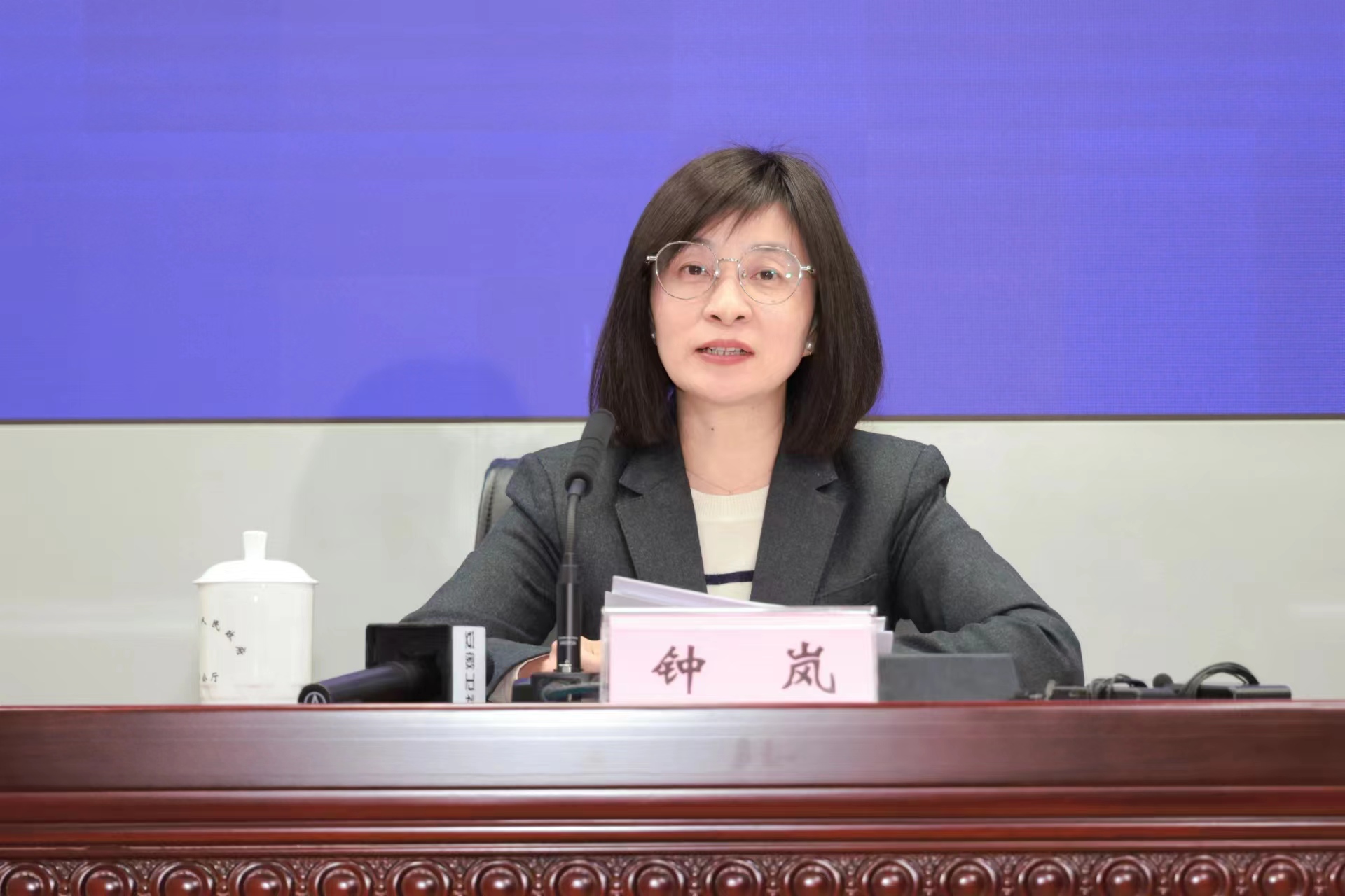安徽省发展改革委副主任钟岚发布新闻.jpg