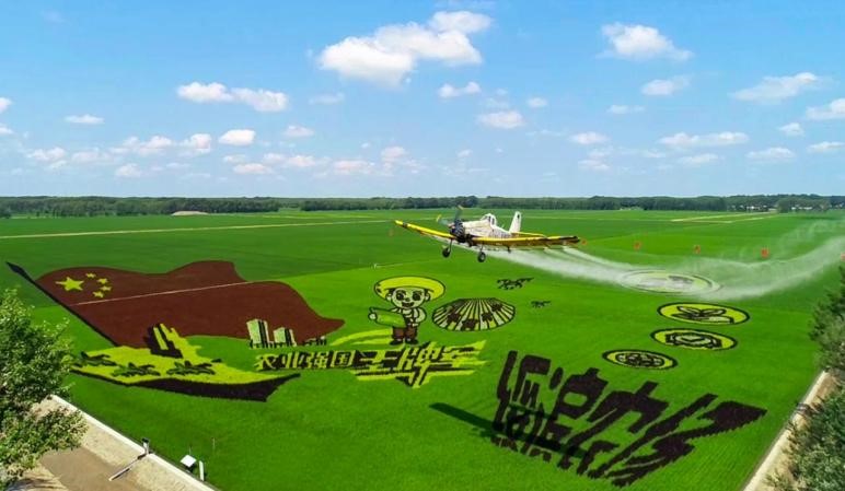 黑龙江绥滨农场:实施五个"粮策" 破解丰收"密码"