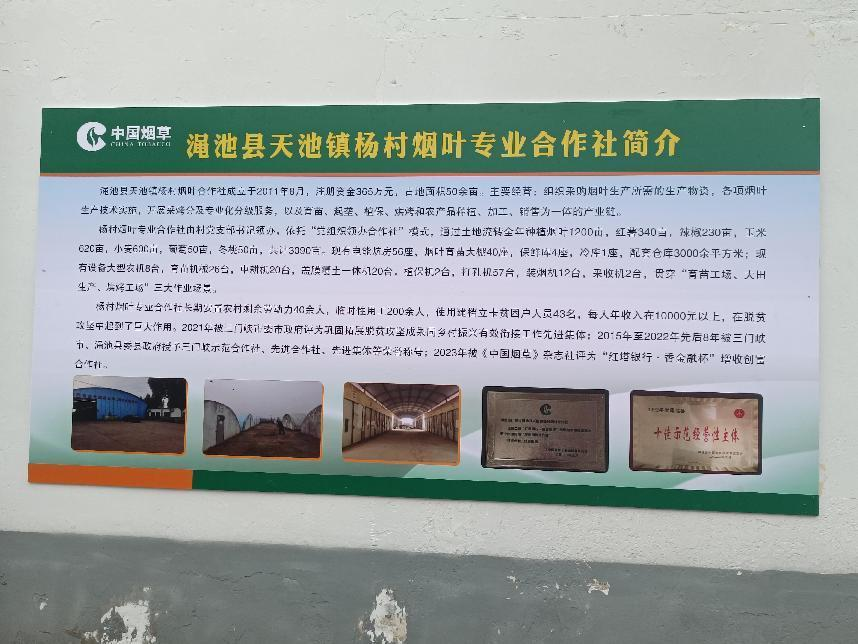 图片 1.png