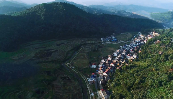 株洲茶陵家燕归巢创新业土特产专区助力村民致富