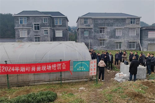 图片 1.jpg