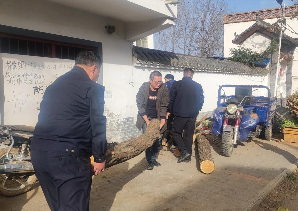 洛宁县景阳镇代表履职三举措助力乡村焕新颜