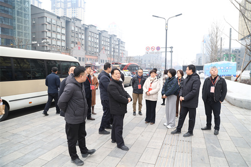 洛阳西工区助力文旅融合人大在行动