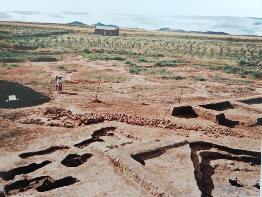 兴隆洼文化的查海发现巨型石堆龙在聚落的中心部位，采用石块堆塑而成，全长19.7米，是中国迄今发现年代最早的龙形象。.jpg