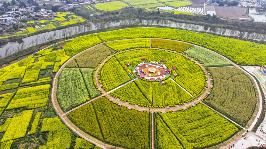 “油菜花经济”丰富农村经济业态