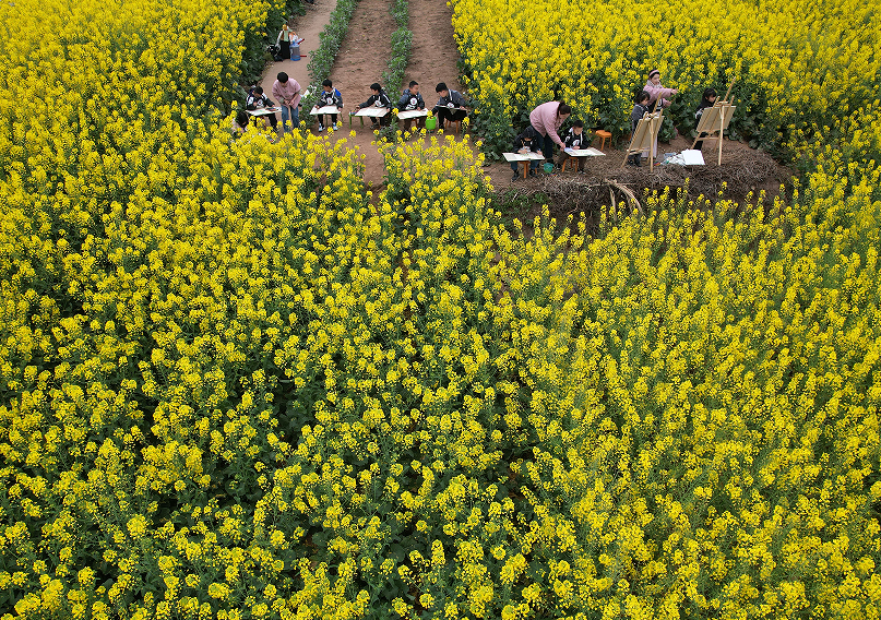四川内江:油菜花田"画春天"