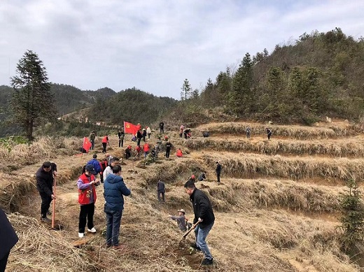 2、植树造林绿化环境.jpg