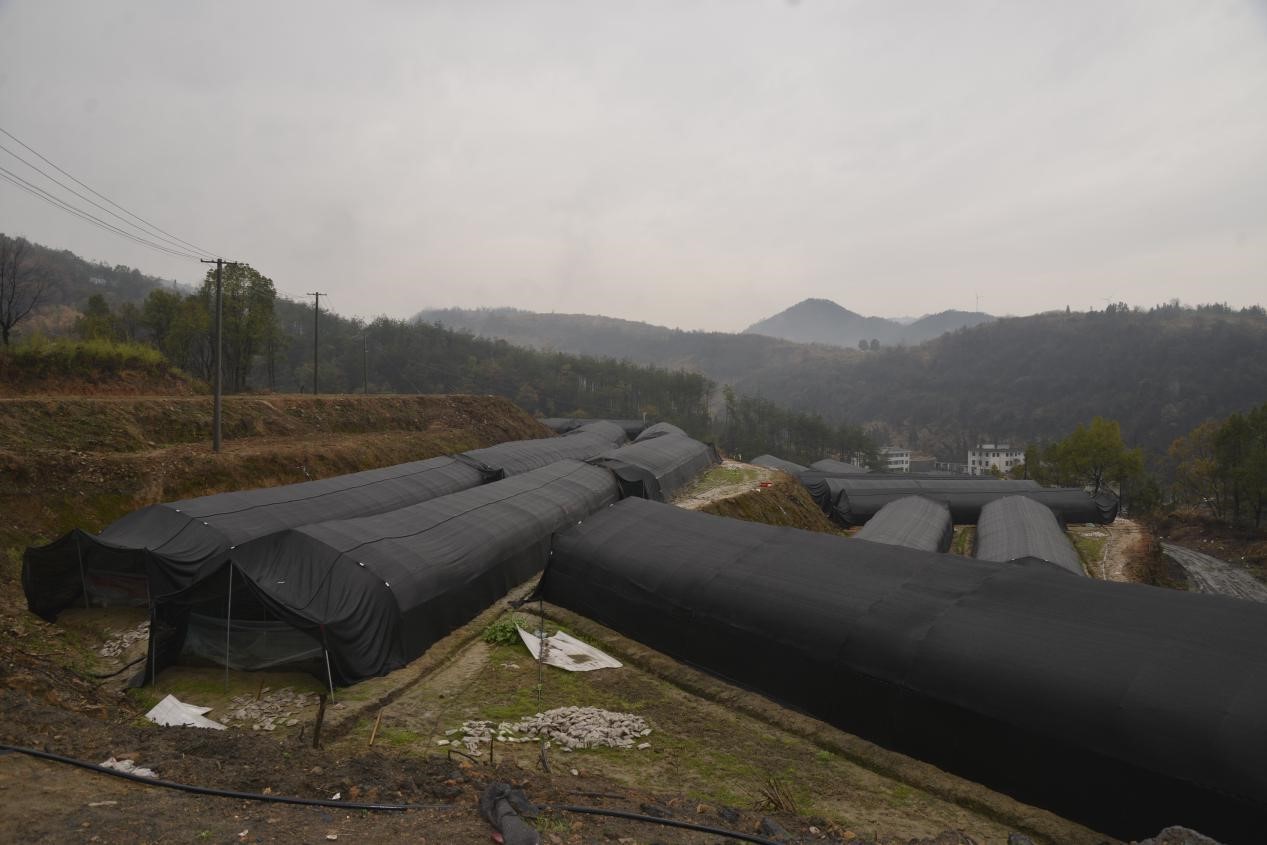 1711594401323678.jpg 1.jpg