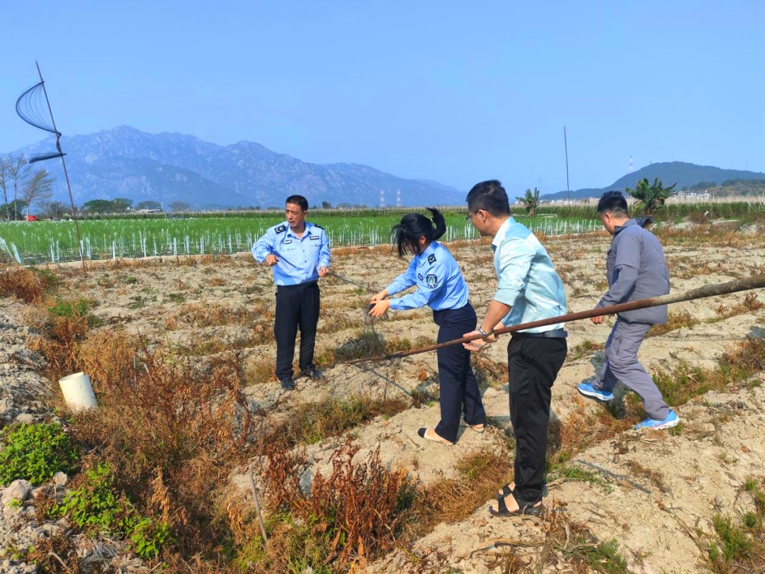 云霄拆网护鸟守护生命线