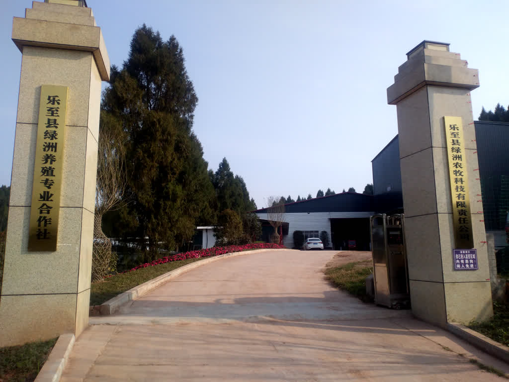 乐至县石佛镇肉牛产业畜势勃发乡村全面振兴牛劲十足