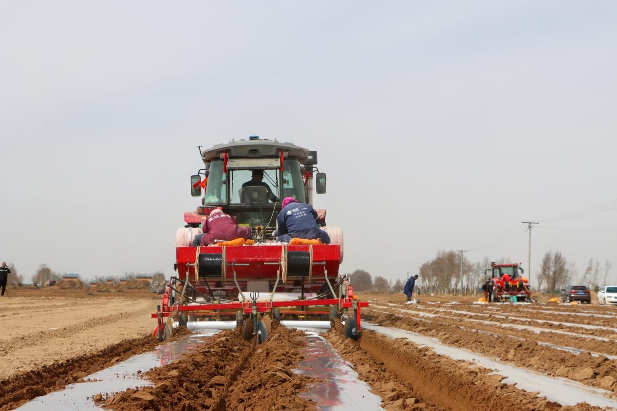 "北斗"加持智慧农机成主角  定边县4万亩早熟马铃薯春播尽显"科技范"