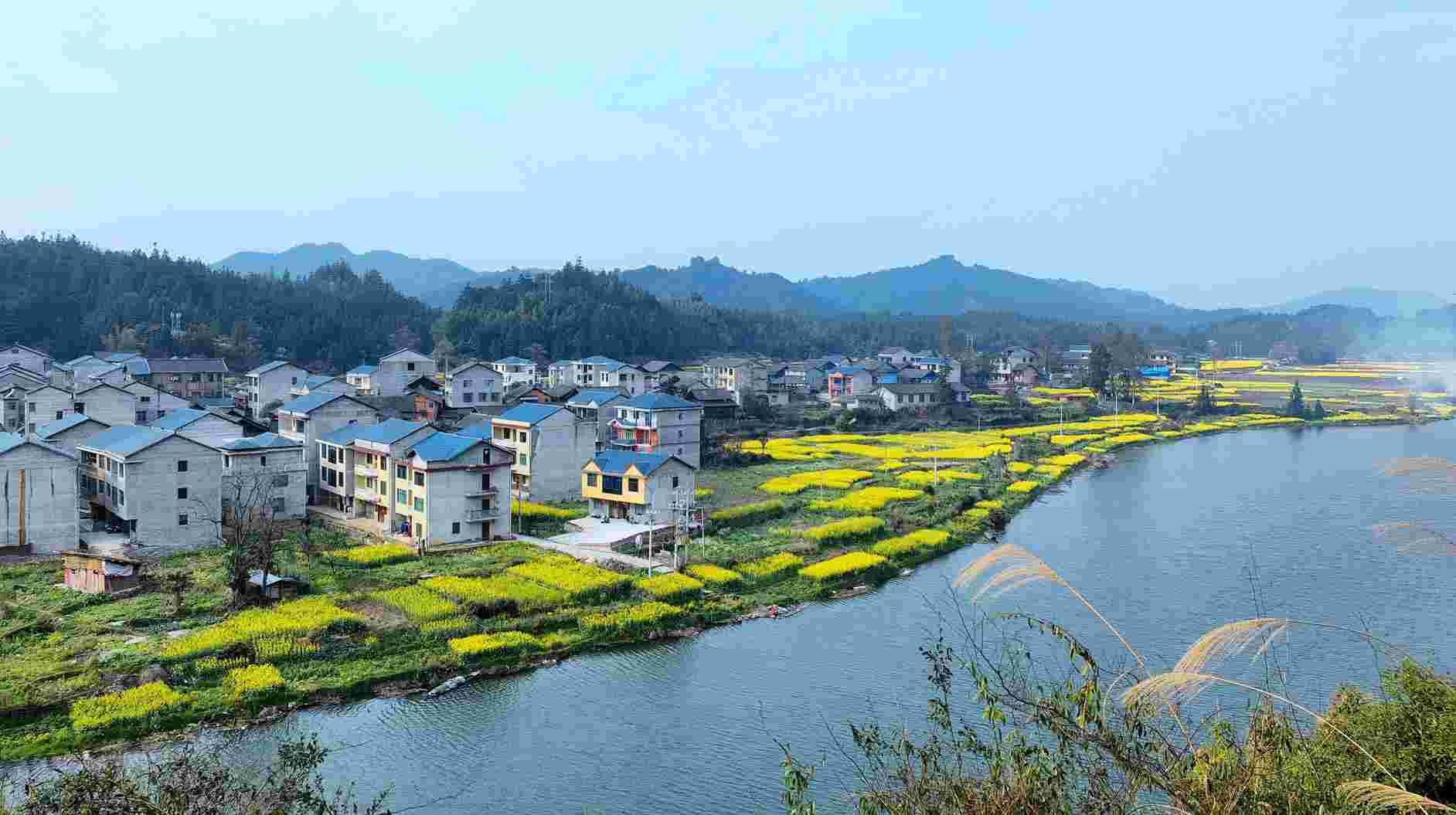 走进通道县播阳镇上寨村,映入眼帘的是一栋栋排列整齐的房屋和绿水