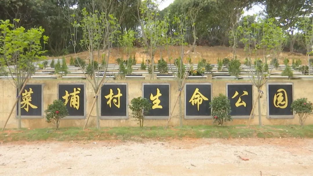 云霄推行生态葬让生命终归自然