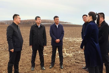 黑龙江绥滨农场农业社会化服务奏响乡村全面振兴新乐章