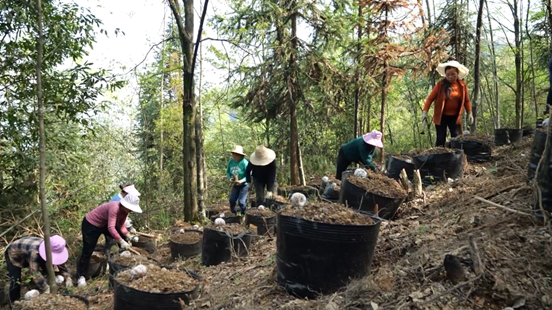 1713424314713724.png 图片1.png