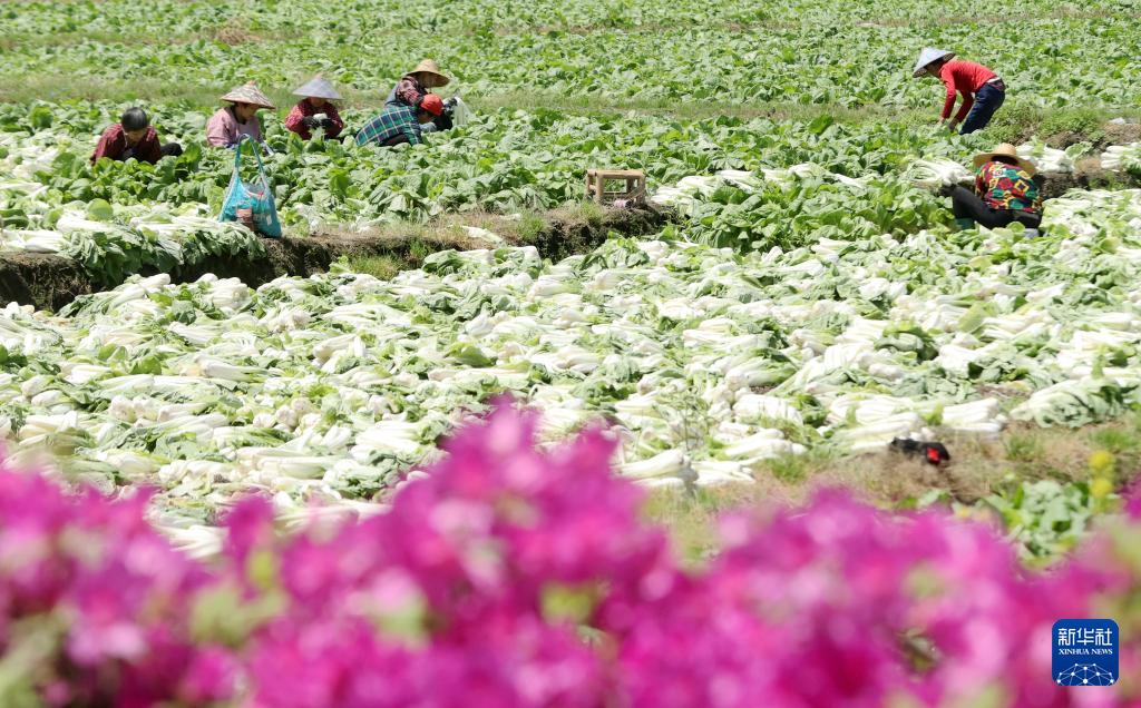 谷雨将至农事忙来源:2024-04-19 09:58浏览300800收藏手机阅读分享