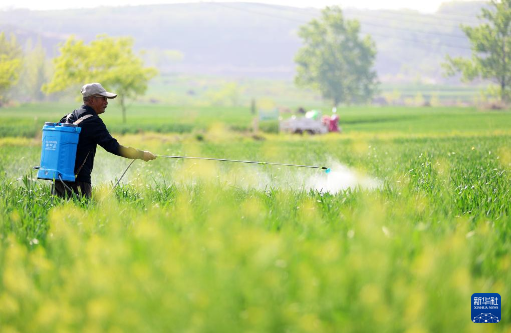 谷雨将至农事忙来源:2024-04-19 09:58浏览300800收藏手机阅读分享