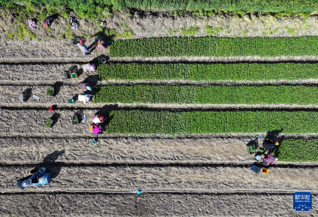谷雨将至农事忙来源:2024-04-19 09:58浏览300800收藏手机阅读分享