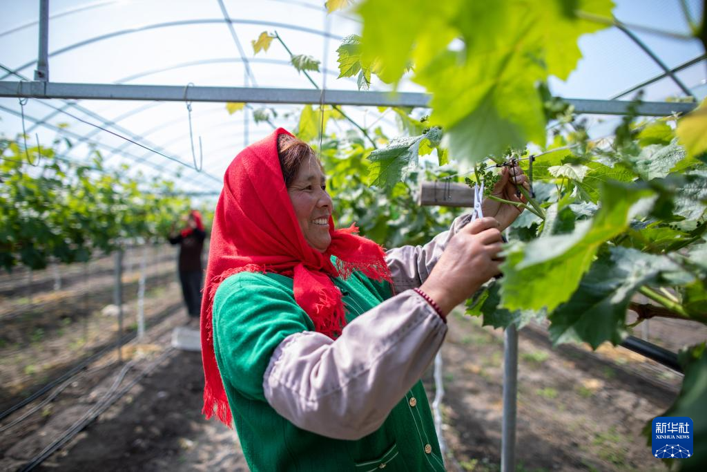 谷雨将至农事忙来源:2024-04-19 09:58浏览300800收藏手机阅读分享