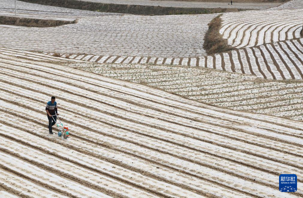谷雨将至农事忙来源:2024-04-19 09:58浏览300800收藏手机阅读分享