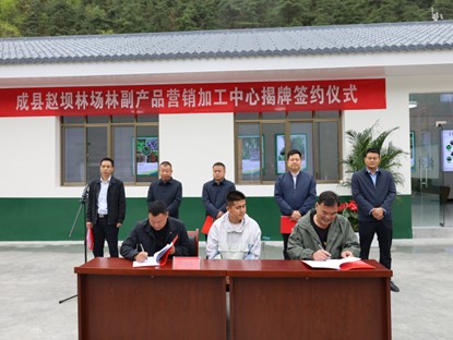 甘肃成县:绿水青山富农家