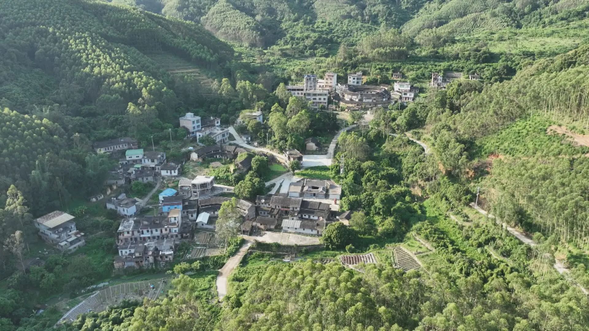 云霄:乡贤促振兴 同心建设美丽家园