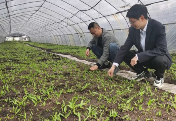 全员出动掀热潮 走深走实抓质效——房县农商银行全面推进“六访六增 四下基层”活动.jpg