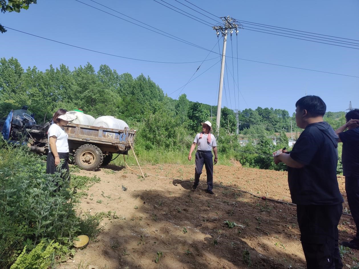 洛宁县罗岭乡:守牢耕地保护红线,助推农业产业高质量发展