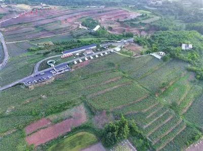 1  万亩丹参种植基地.jpg