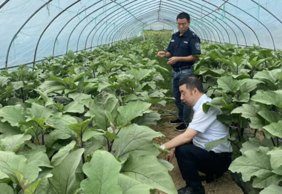 竹溪农商银行推动“开展六访六增 践行四下基层”活动走深走实.jpg