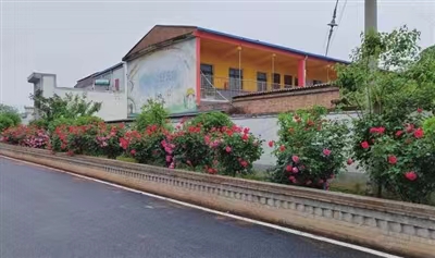 3  刘坡村和美乡村建设.jpg