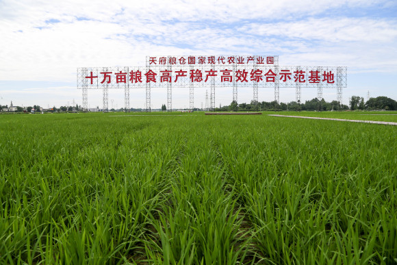 农发行崇州市支行：三十而立从头越 砥砺奋进又出发.jpg