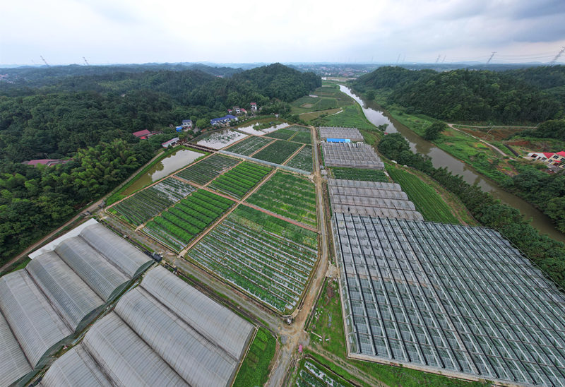 邹学校院士农业示范基地.