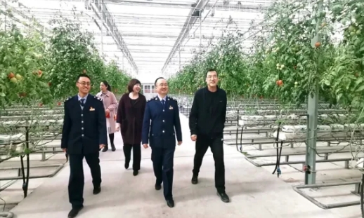 酒泉农服:打造生态农业新篇章