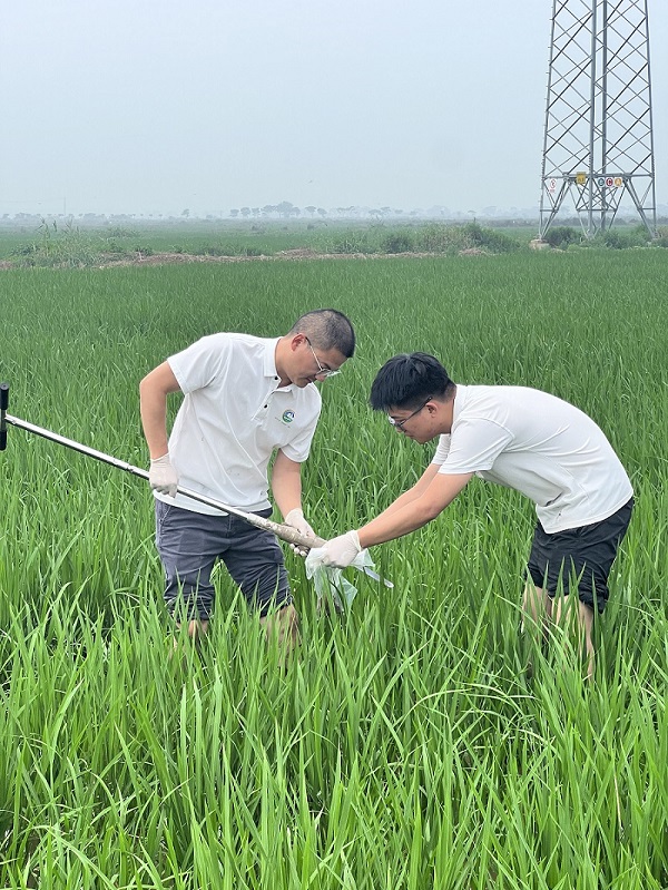 3.深入田间采样.jpg