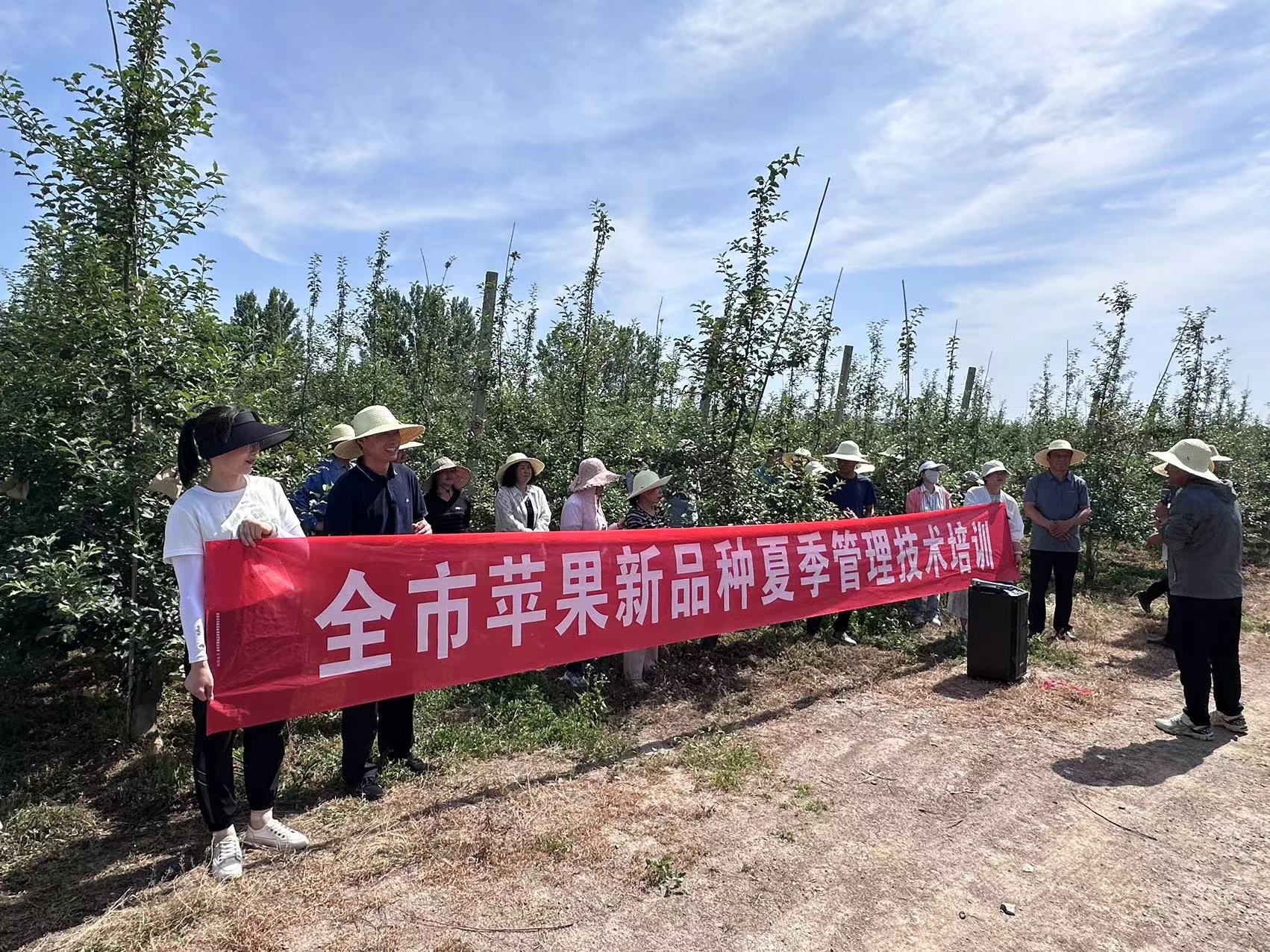 陕西陇县打出乡村全面振兴组合拳