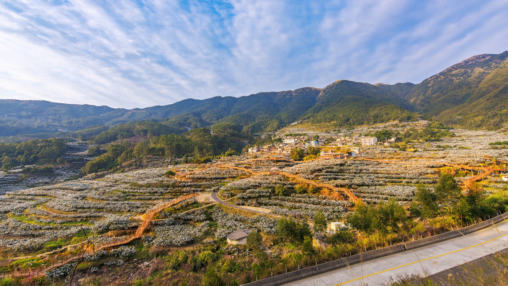 福建云霄:一条路串起乡村全面振兴"好风景"