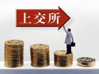 上交所將著力推動打通中長期資金入市卡點(diǎn)堵點(diǎn)