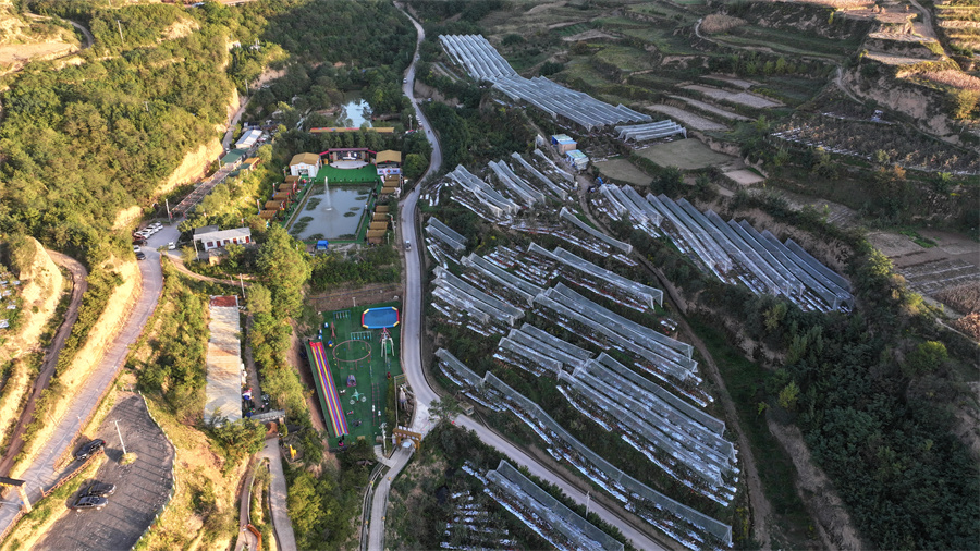 庄浪县朱店镇吴沟村美丽乡村.JPG
